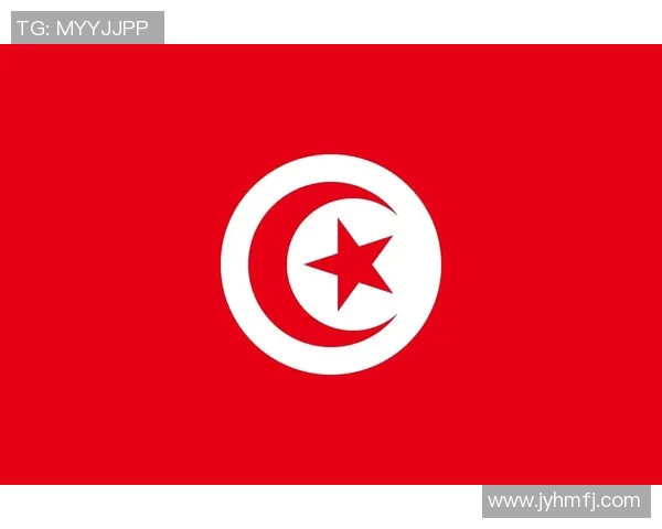 中国与突尼斯激战全场精彩集锦回顾与分析 中国与突尼斯激战全场精彩集锦回顾与分析