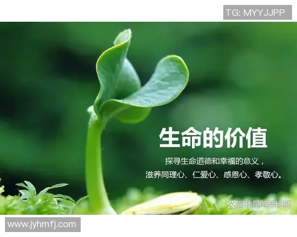 景菡一的成长之路与追梦旅程探寻人生的意义与价值 景菡一的成长之路与追梦旅程探寻人生的意义与价值