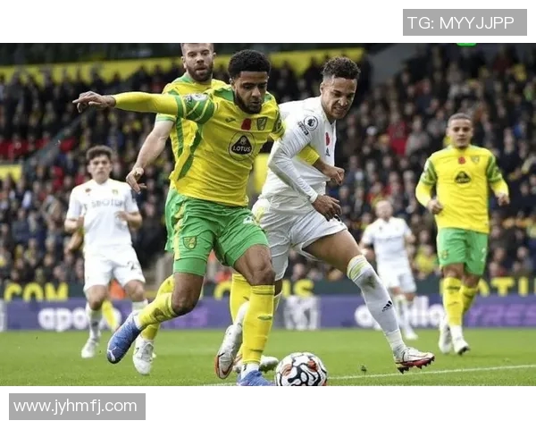 武汉飞盘队在马拉松大满贯积分榜上以79分稳居第一名引发热议